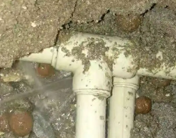 台儿庄测漏水多少钱