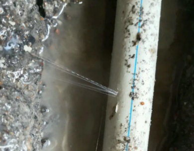 台儿庄测漏水哪家好