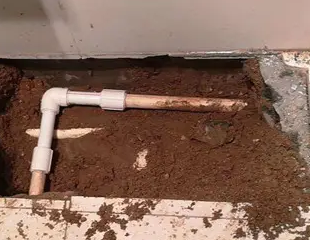 台儿庄测漏水哪家好