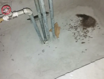 台儿庄卫生间测漏水价格明细