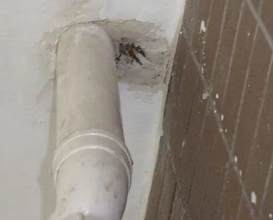 台儿庄漏水检测哪家好